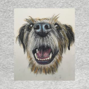 Border Terrier close up T-Shirt